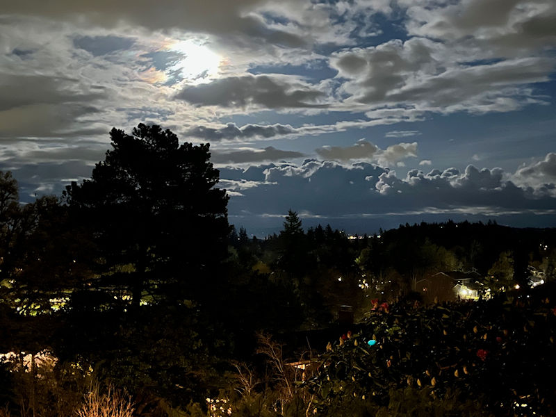 evening lights