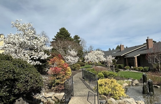 garden 1
