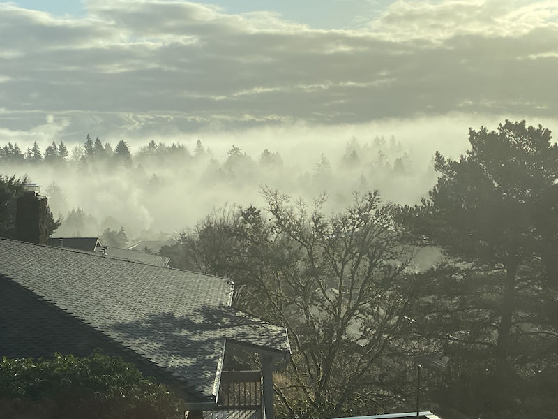 fog